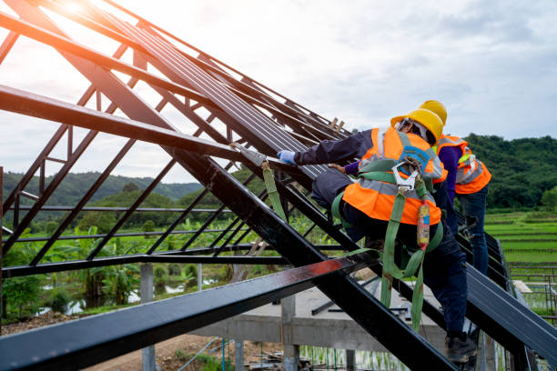 Roof Gutter Cleaning in Woodbridge, CA